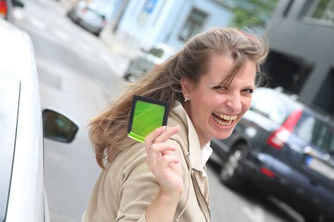 Auto-Diva Vita und Referenzen 33