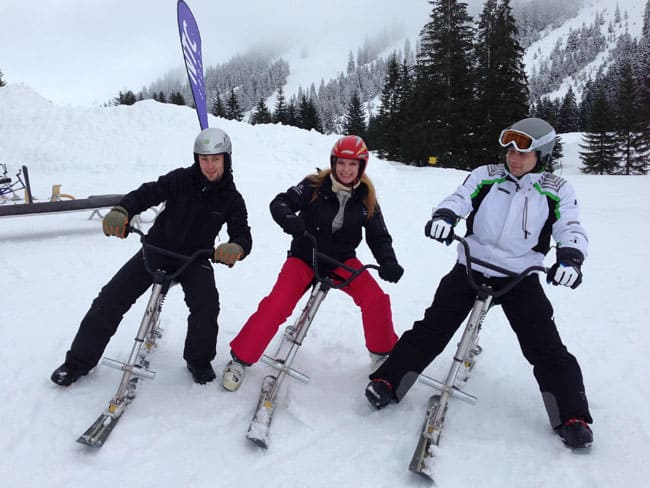 Auto-Diva Vita und Referenzen 29