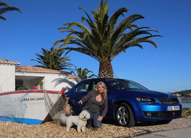 Auto-Diva Vita und Referenzen 27