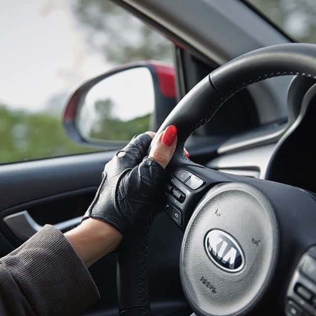 Auto-Diva Vita und Referenzen 8